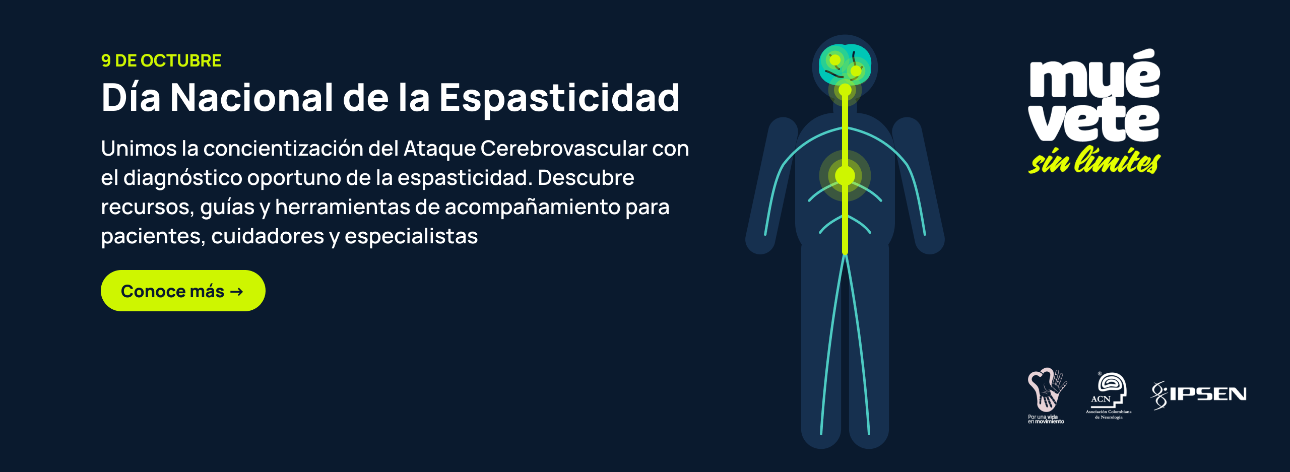 Día Nacional de la Espasticidad, 9 de octubre. Unimos la concientización del Ataque Cerebrovascular con el diagnóstico oportuno de la espasticidad. Descubre recursos, guías y herramientas de acompañamiento para pacientes, cuidadores y especialistas. Conoce más. Muévete sin límites. Por una vida en movimiento, ACN e IPSEN.